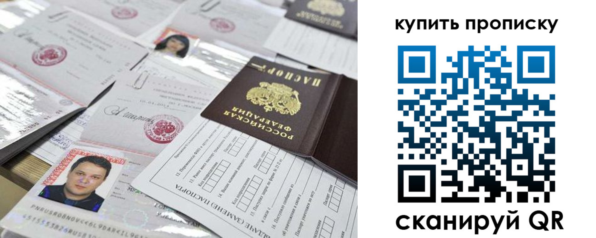 прописка гарантия в Элисте